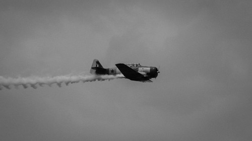 20120616-IMG_5237 copy